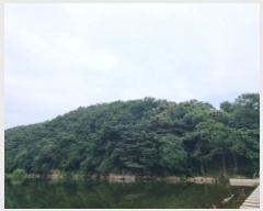  2024Ÿ��72445 ��� �����ֽ� ������ �ݰ ��24      ����(�Ӿ�)���