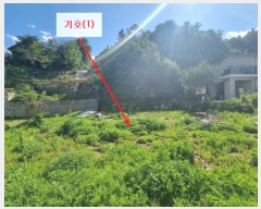  2024Ÿ75574   û 뼺 107-23      ()