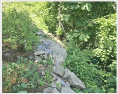  2024Ÿ��76676  ���(ķ����)���