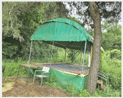  2024Ÿ��76676  ���(ķ����)���