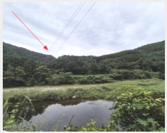  2024Ÿ80675   ϸ 븮 113      (Ӿ)