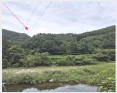  2024Ÿ80675   ϸ 븮 113      (Ӿ)