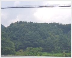  2024Ÿ80675   ϸ 븮 113      (Ӿ)