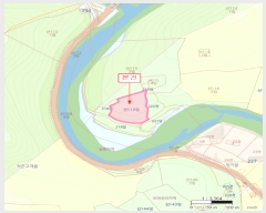  2024Ÿ80675   ϸ 븮 113      (Ӿ)