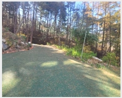  2024Ÿ85120   û ȣ 25-3      (Ӿ)