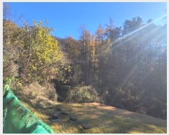  2024Ÿ85120   û ȣ 25-3      (Ӿ)