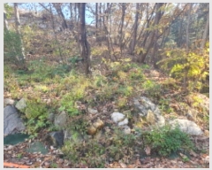  2024Ÿ85120   û ȣ 25-3      (Ӿ)