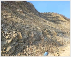  2024Ÿ85236   Ǹ âǸ 63-15      (Ӿ)