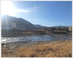  2024Ÿ��86185  �����