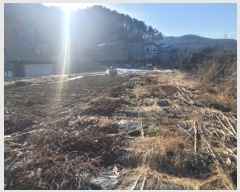  2024Ÿ��86185  �����