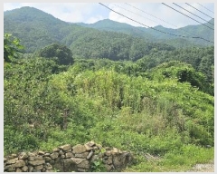  2024Ÿ��3289 ��� ���� �ϸ� ��и� 213      ����(��1)���