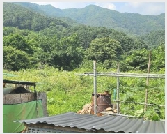  2024Ÿ��3289 ��� ���� �ϸ� ��и� 213      ����(��1)���