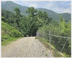  2024Ÿ��3289 ��� ���� �ϸ� ��и� 213      ����(��1)���