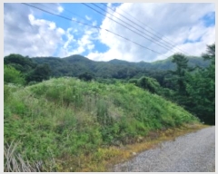  2024Ÿ��3289 ��� ���� �ϸ� ��и� 213      ����(��1)���