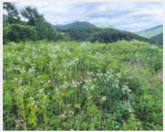  2024Ÿ��3289 ��� ���� �ϸ� ��и� 213      ����(��1)���