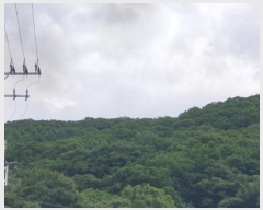  2024Ÿ��3401 ��� �����ֽ� ȭ���� ���̸� ��79-198      ����(�Ӿ�)���