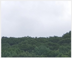  2024Ÿ��3401 ��� �����ֽ� ȭ���� ���̸� ��79-198      ����(�Ӿ�)���