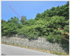  2024Ÿ3432   û 뼺 321-160      (Ӿ)