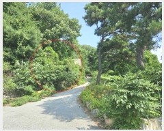  2024Ÿ3432   û 뼺 321-160      (Ӿ)