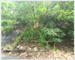  2024Ÿ3432   û 뼺 321-160      (Ӿ)