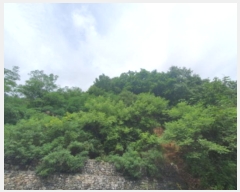  2024Ÿ3432   û 뼺 321-160      (Ӿ)