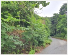  2024Ÿ3432   û 뼺 321-160      (Ӿ)