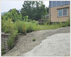  2024Ÿ��3678 ��� ���� ��� ������ 93-6      ���ð��