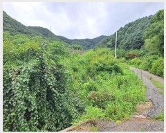  2024Ÿ3791   Ǹ ȸ 471-8      (Ӿ)