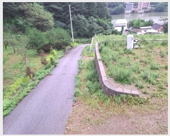  2024Ÿ3791   Ǹ ȸ 471-8      (Ӿ)