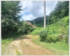  2024Ÿ��3890  �����