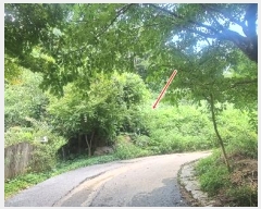  2024Ÿ��3890  �����