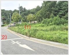  2024Ÿ��3937  �������