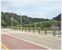  2024Ÿ��3937  �������