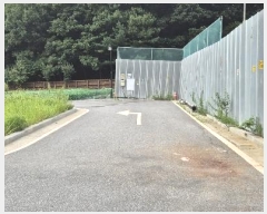  2024Ÿ��3937  �������