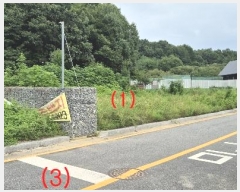  2024Ÿ��3937  �������