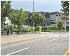  2024Ÿ��3937  �������