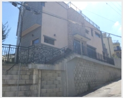  2024Ÿ��4169  ���ð��