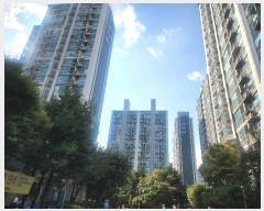  2024Ÿ��4954 ��� �����ֽ� ������ û�з�114���� 18, 207�� 12��1202ȣ (û���ְ�����Ʈ)   ����Ʈ���