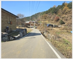  2024Ÿ��5155 ��� ���� ���Ǹ� ��� 261      ���ð��