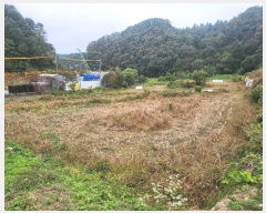  2024Ÿ��5186 ��� ���� ���Ǹ� ���ȸ� 461-4      ����(��)���