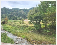  2024Ÿ��5186 ��� ���� ���Ǹ� ���ȸ� 461-4      ����(��)���