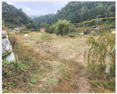  2024Ÿ��5186 ��� ���� ���Ǹ� ���ȸ� 461-4      ����(��)���