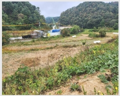  2024Ÿ��5186 ��� ���� ���Ǹ� ���ȸ� 461-4      ����(��)���