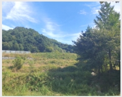  2024Ÿ��5186 ��� ���� ���Ǹ� ���ȸ� 461-4      ����(��)���