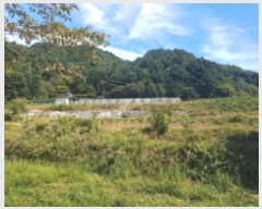  2024Ÿ��5186 ��� ���� ���Ǹ� ���ȸ� 461-4      ����(��)���