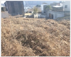  2024Ÿ��5834  �����