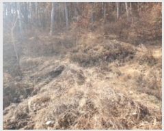  2024Ÿ��5834  �����