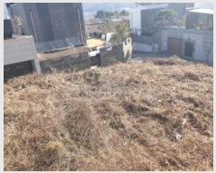  2024Ÿ��5834  �����