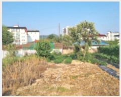  2024Ÿ76928     393-6      (1)