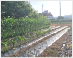  2024Ÿ76928     393-6      (1)